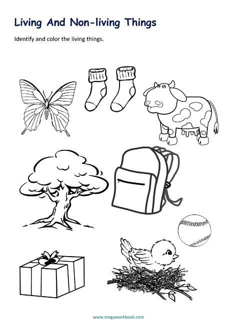 5 living things drawing|Drawing Living Things Worksheet .